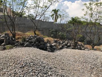 place photo 29