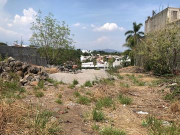 place photo 38