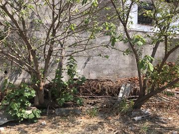 place photo 50