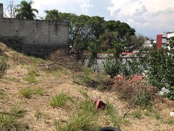 place photo 44