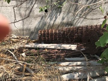 place photo 47