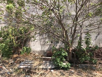 place photo 49