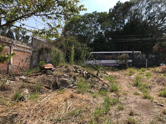 place photo 52