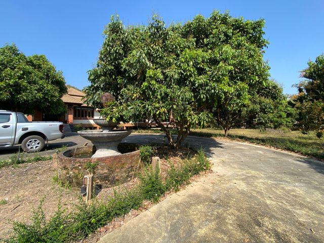 place photo 58