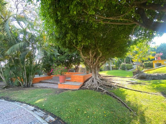 place photo 32