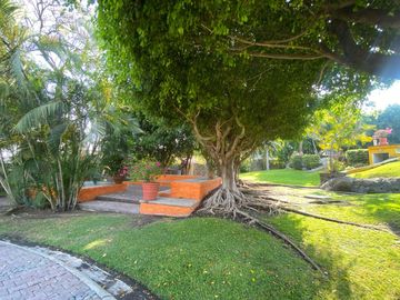 place photo 32