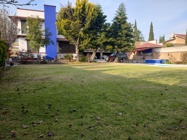place photo 40
