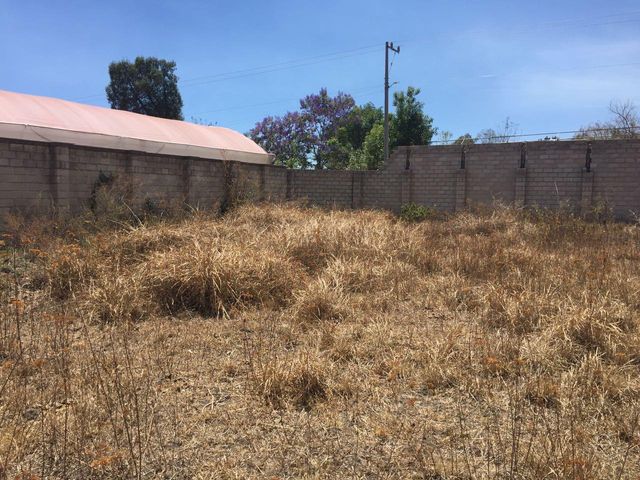 place photo 18
