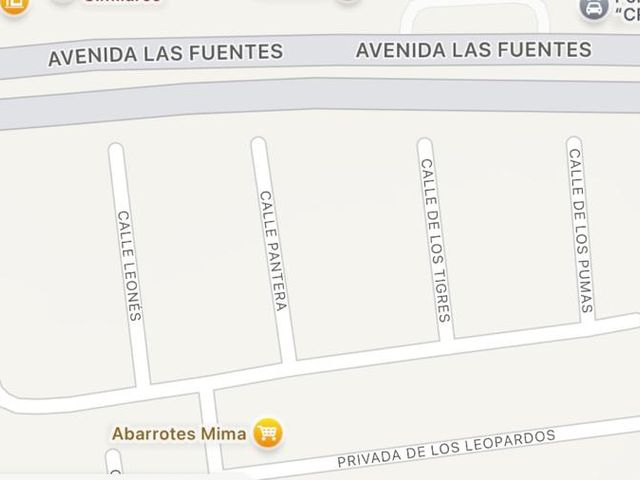 place photo 5