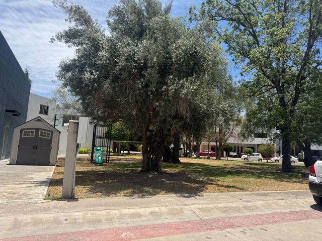 place photo 37