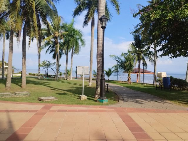 place photo 23