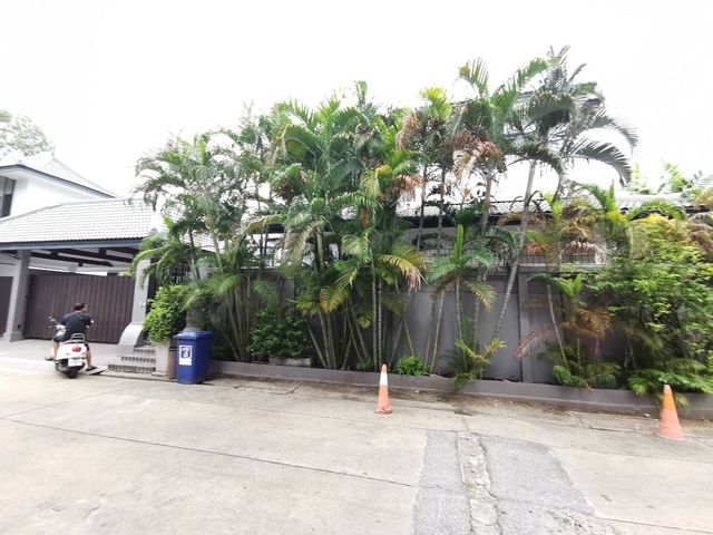 place photo 63