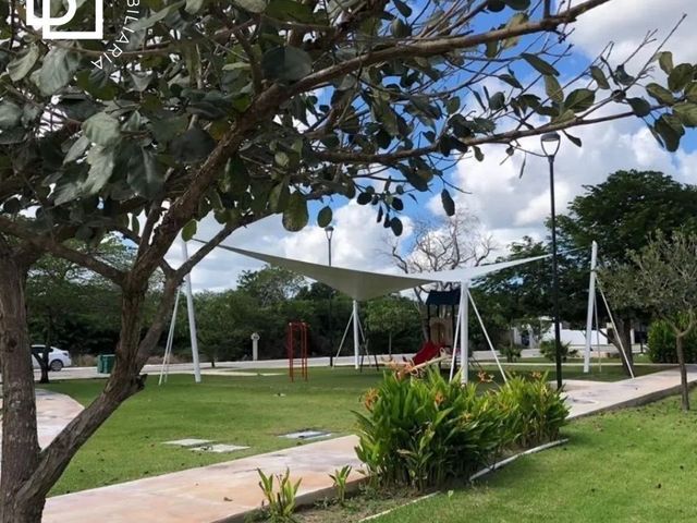 place photo 19
