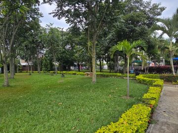 place photo 53