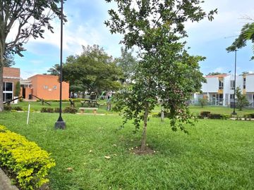 place photo 52