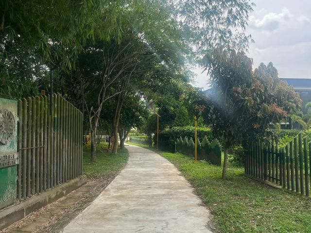 place photo 28