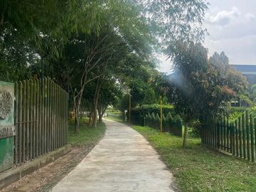 place photo 28