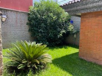 place photo 38