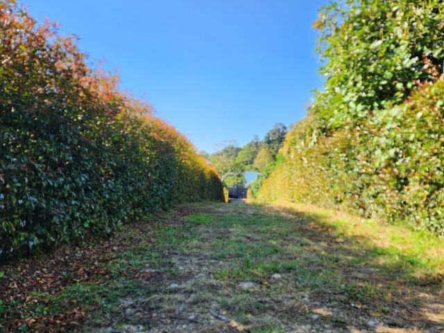 place photo 28