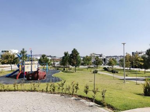place photo 50