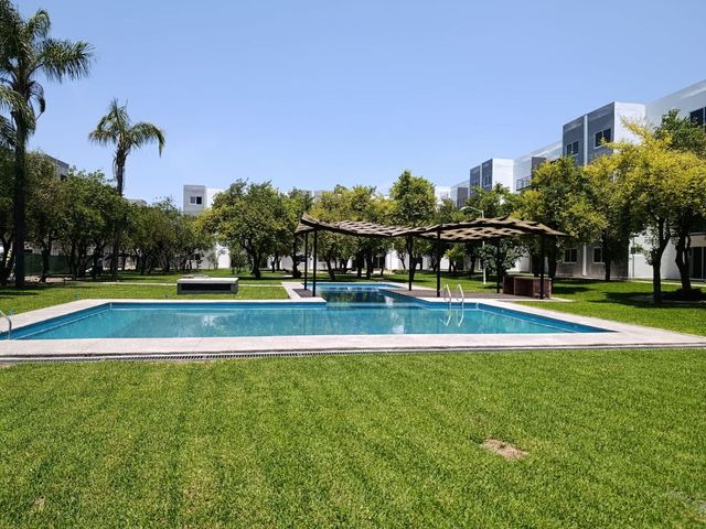 place photo 29