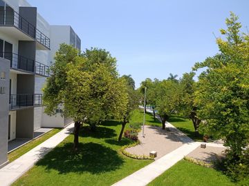 place photo 26