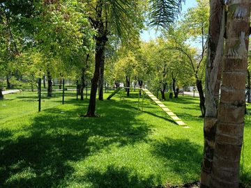place photo 35
