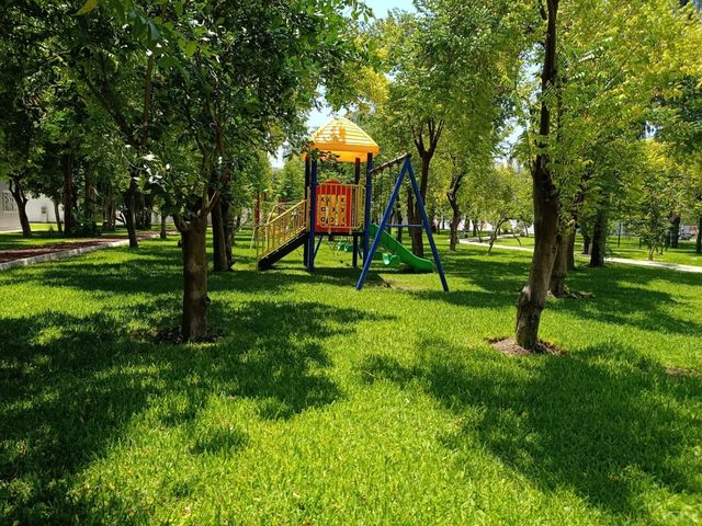 place photo 36