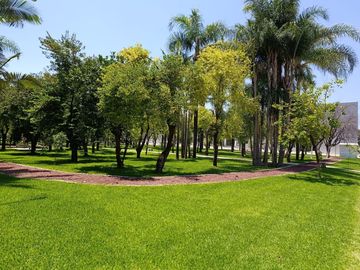 place photo 39