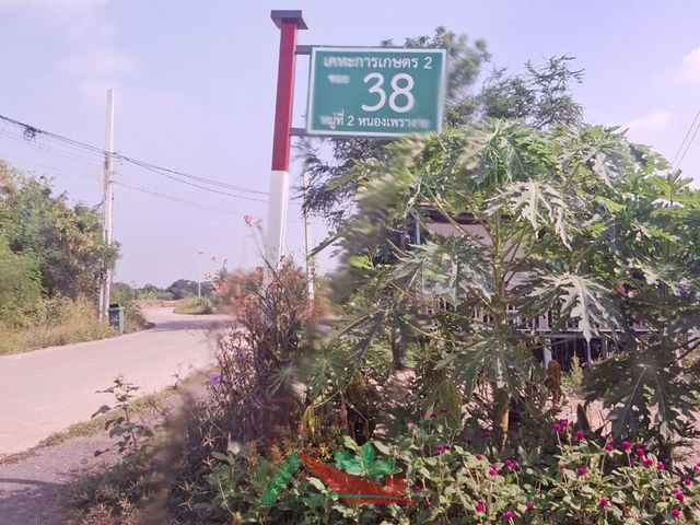 place photo 13