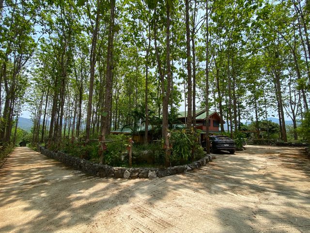 place photo 47
