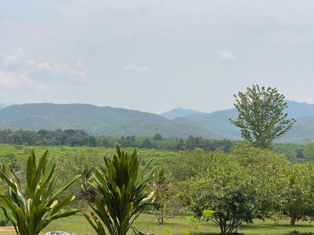 place photo 58
