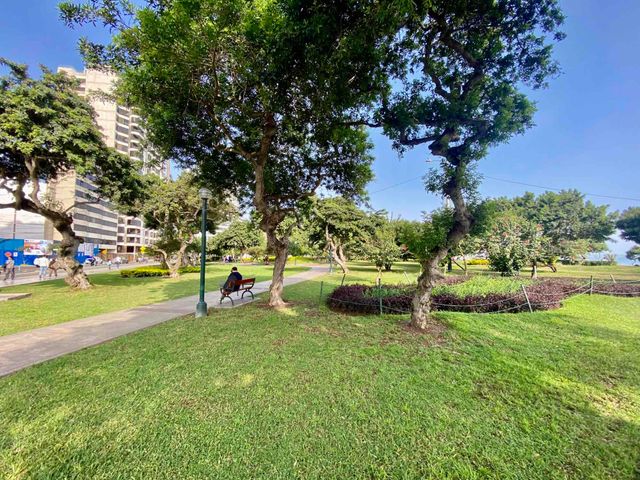 place photo 19