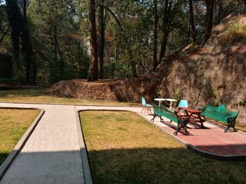 place photo 23