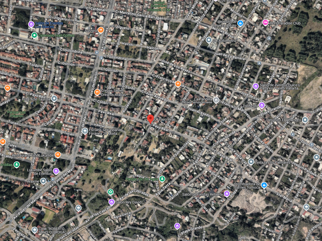 place photo 7