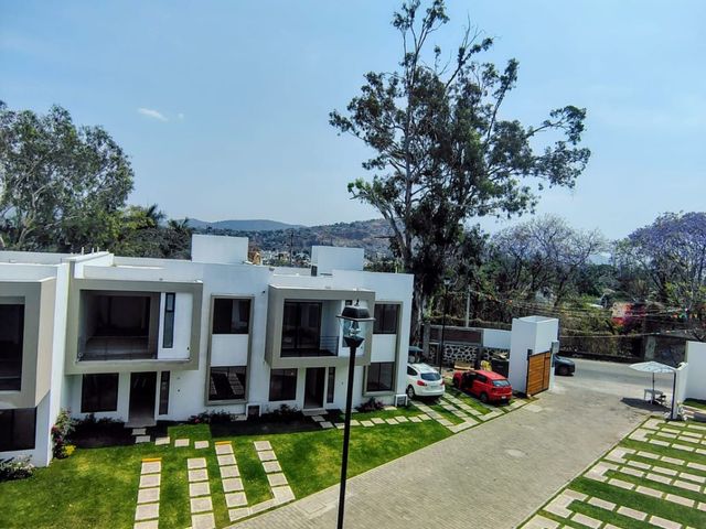 place photo 30