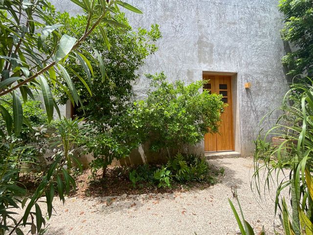 place photo 34