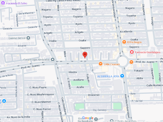 place photo 4