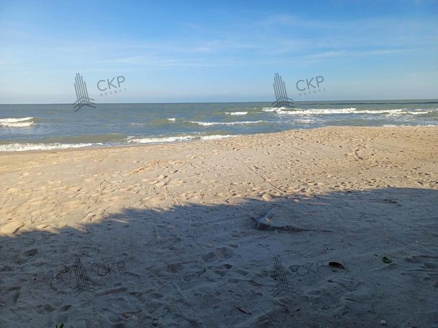 place photo 11
