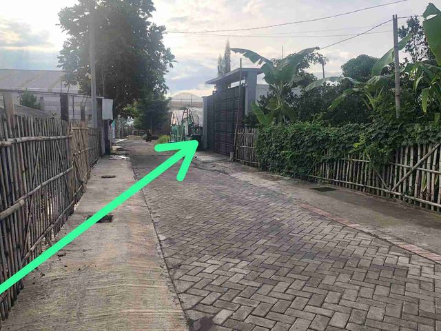 place photo 4