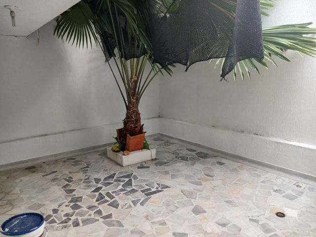 place photo 41