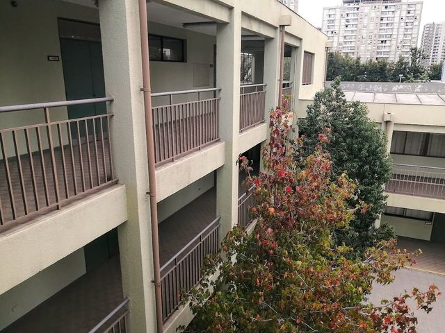 place photo 40