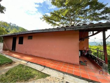 place photo 44