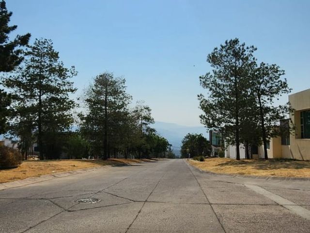 place photo 35