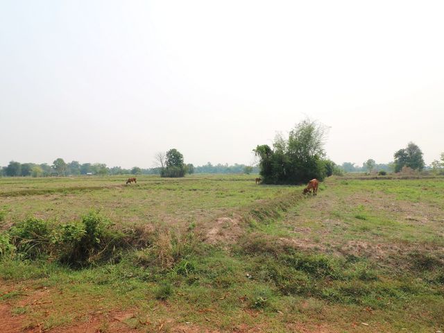 place photo 60