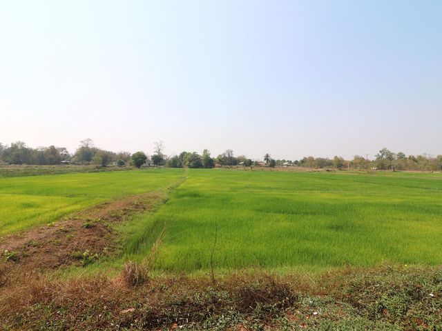 place photo 30