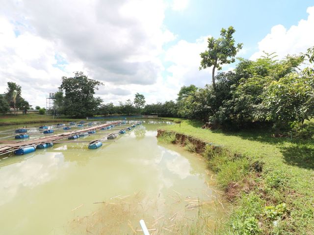 place photo 65