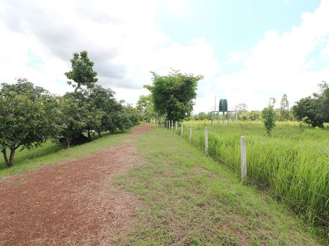 place photo 66
