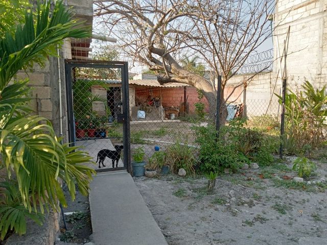 place photo 14
