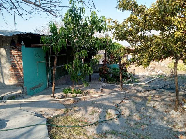 place photo 22